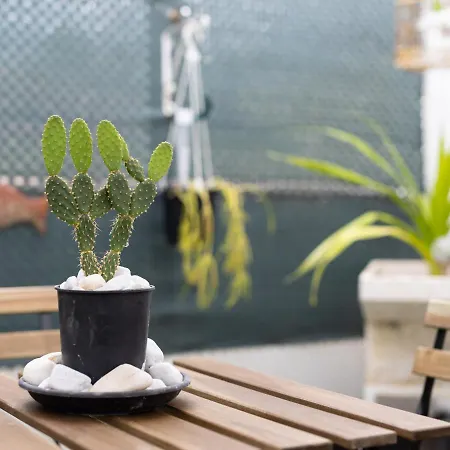 Live Puertito Neptune *