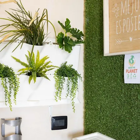 Live Puertito Neptune Hébergement de vacances