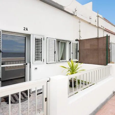 Live Puertito Neptune