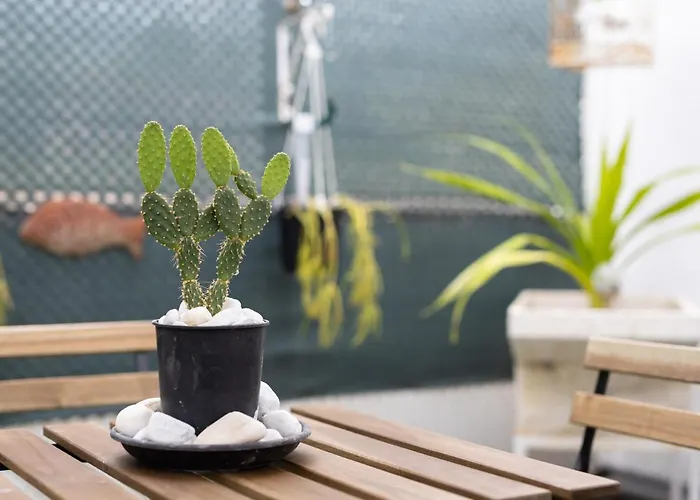 Live Puertito Neptune *