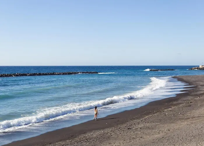 Live Puertito Neptune